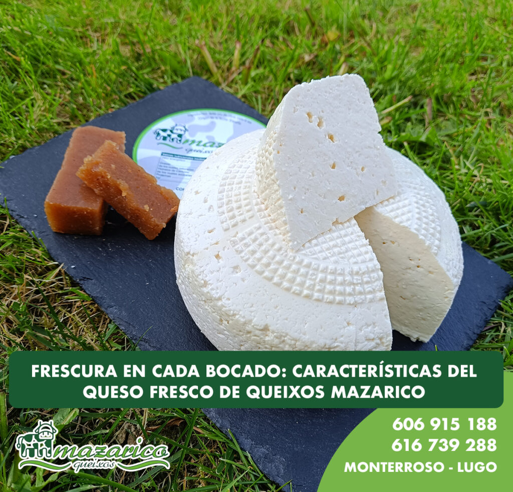 Queso fresco gallego