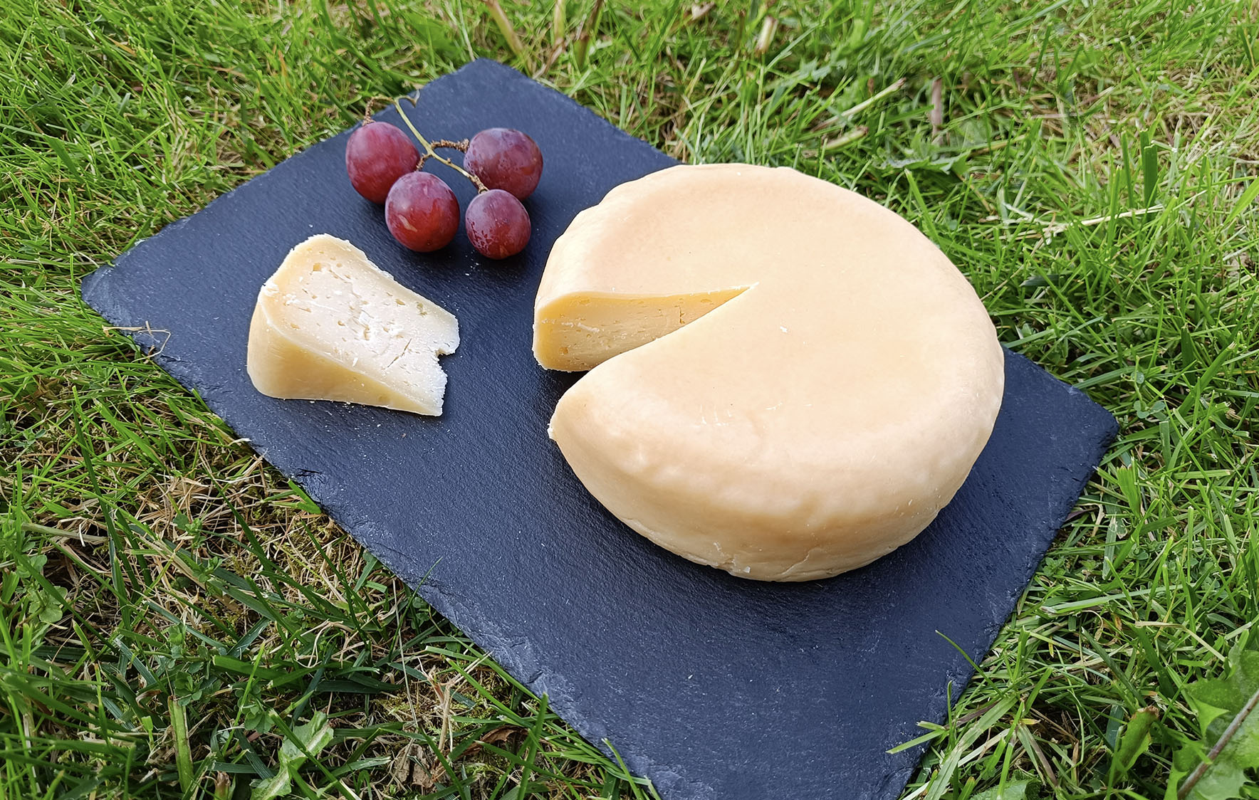 Imagen del queso curado