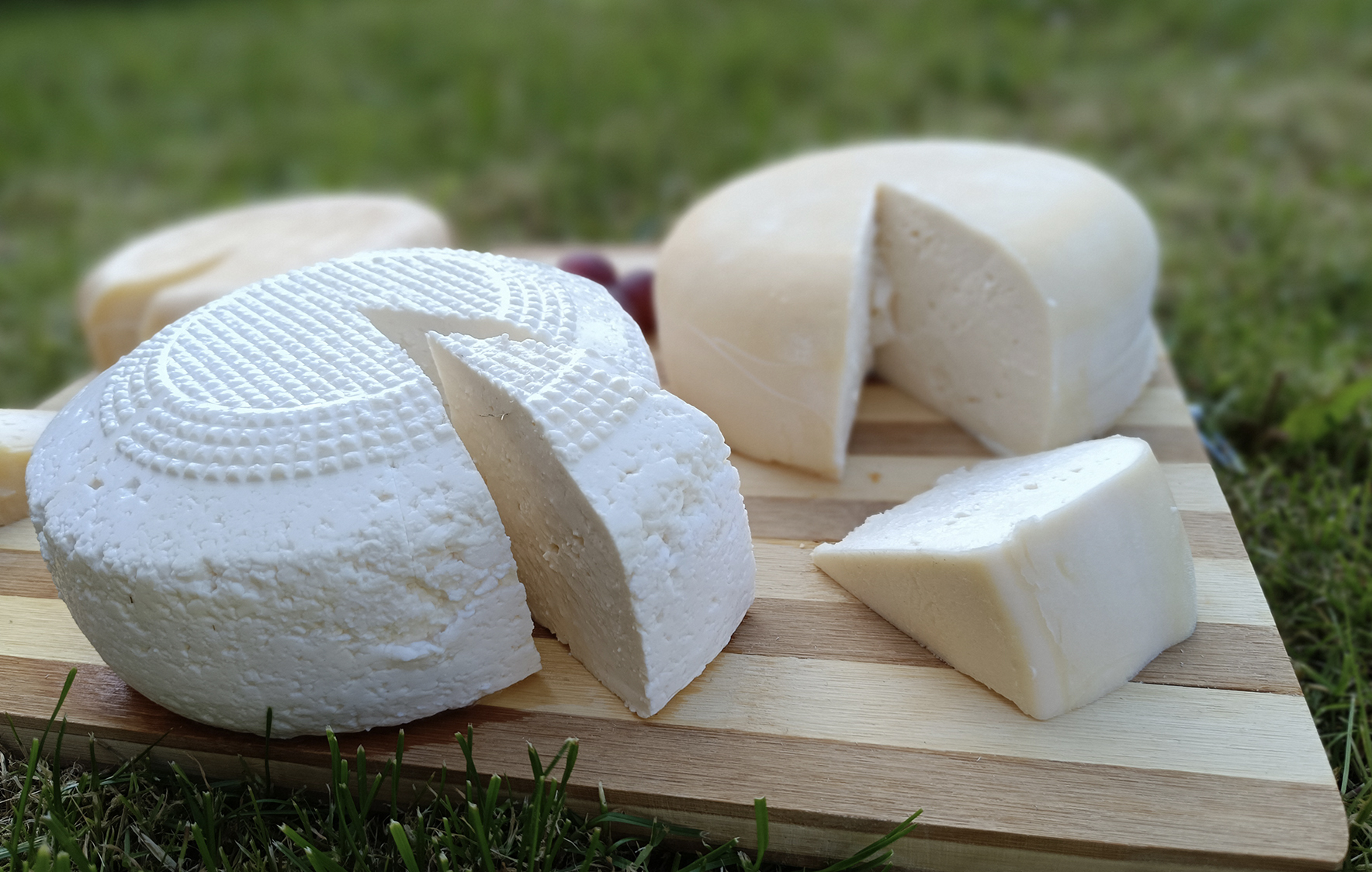 Imagen del queso fresco de Queixos Mazarico
