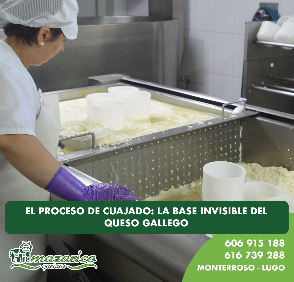 Cuajado de queso gallego