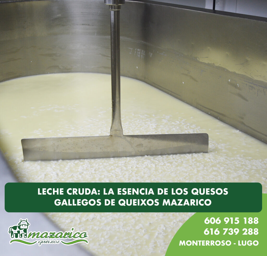 Quesos de leche cruda