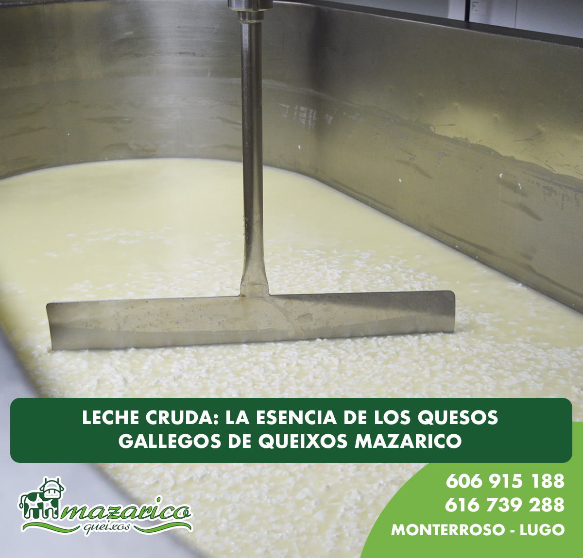 Quesos de leche cruda